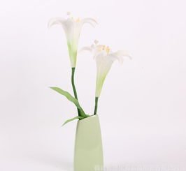 陶瓷簡約花瓶 現(xiàn)代裝飾與花卉種植的完美結(jié)合