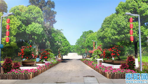 花溪公園三月精品月季展 園藝匠心鑄就城市花海